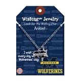 University of Michigan Wishing Anklet