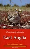 Where to watch birds in East Anglia