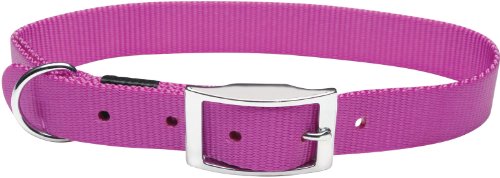 Detail image Dogit Nylon Double Ply Dog Collar with Buckle, X-Large, 20-Inch, Purple
