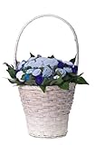 The Baby Bunch Premium Gift Basket, Blue/White, 0-6 Months