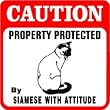 CAUTION: SIAMESE WITH ATTITUDE cat pet sign