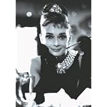 Hollywood Icon Journals: Audrey Hepburn book cover