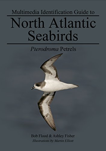 Pterodroma Petrels: North Atlantic Seabirds (Multimedia ID guides to North Atlantic Seabirds)