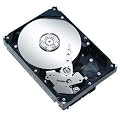 Seagate ST250DM000 250GB interne Festplatte (8,9 cm (3,5 Zoll), 7200rpm, 16MB Cache, SATA III)