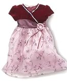 Little Bitty Baby Girl Velvet and Embroidered Dress