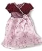 Little Bitty Baby Girl Velvet and Embroidered Dress