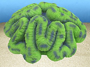 Nature's Image Artificial Corals: Open Brain Green