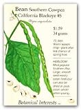 Bean Southern Cowpea Blackeye Seed