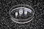 Cloning Cylinders, SCIENCEWARE - Size Assorted - Model F37847-0000 - Pack of 120 - Model F37847-0000