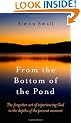 From the Bottom of the Pond: The Forgotten Art of Experiencing God in the Depths of the Present Moment