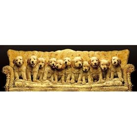 1art1 - 36855 - Poster de Porte - Chiens - Where Is The Remote Control - 158 X 53 cm