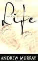 An Exciting New Life