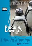 Eigenschaften UAP Video GmbH  / Pinguin, Löwe & Co, Geschichten aus dem Allwetterzoo Münster Teil 1