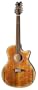 Dean Exotica 12-String Acoustic-Electric Cutaway Guitar with Tuner Preamp, Tiger Eye