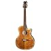 Dean Exotica 12-String Acoustic-Electric Cutaway Guitar with Tuner Preamp, Tiger Eye