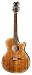 Dean Exotica Flame Maple 12-String Acoustic/Electric Cutaway Guitar w/Tuner Pre Amp Tiger Eye