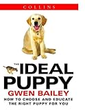 The ideal puppy