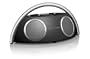 Harman Kardon Go + Play High-Performance Portable Loudspeaker System with Dock for iPod (Newest Model)