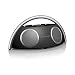 Harman Kardon Go + Play High-Performance Portable Loudspeaker System with Dock for iPod (Newest Model)