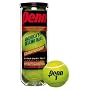 Penn Championship Tennis Balls - Regular Duty - Case of 72 Balls