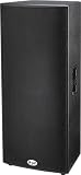 B-52 ACT-1515X Active Dual 15 2-Way 1000W Speaker