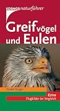 Greifvoegel und Eulen: Alle europaeischen Arten. Extra: Flugbilder im Vergleich