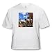 Dinosaur Brachiosaurus - Toddler T-Shirt (2T)