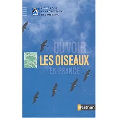 O� voir les oiseaux en France