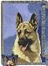 New! Woven Designer German Shepherd Throw Linda Pickin