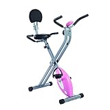 Sunny Folding Recumbent Bike