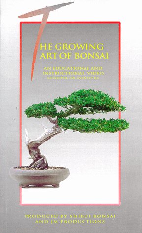 Video: Practical Guide to Bonsai