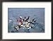 5 Way Skydiving Collections Framed Photographic Poster Print by Michael Howell, 21x17
