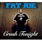 Crush Tonight by Fat Joe