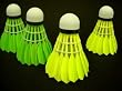 Yellow Goose Feather Shuttlecock (12 pcs)