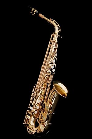 Chateau Alto Saxophone VCH-221L