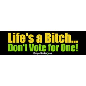 Life's a bitch don't vote for one - funny bumper stickers (Large 14x4 inches)