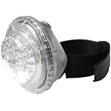 �L���m���f�[�� �y8JA06�z 5 ���b�h LED CLR