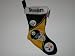 PITTSBURGH STEELERS 17