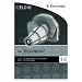 Electrolux Ergorapido Filter