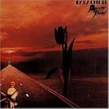 Parachute - the Pretty Things