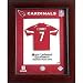 Matt Leinart - Arizona Cardinals NFL Limited Edition Original Mini Jersey