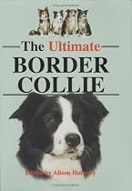 Ultimate Border Collie