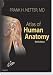 Atlas of Human Anatomy: With Netteranatomy.com (Netter Basic Science)