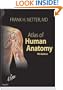 Atlas of Human Anatomy: With Netteranatomy.com, 4e (Netter Basic Science)