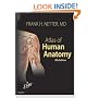 Atlas of Human Anatomy: With Netteranatomy.com (Netter Basic Science)