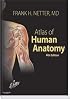 Atlas of Human Anatomy: With Netteranatomy.com (Netter Basic Science)