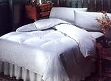 Brussels Overstuffed Goose Down Comforter -High Warmth, 300 TC, 650 Fill Power by Phoenix