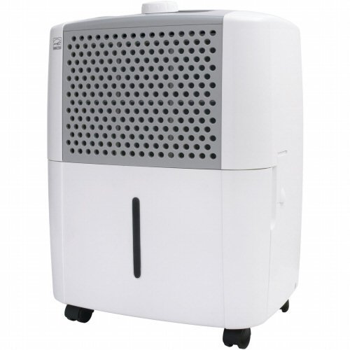Dehumidifier Ice