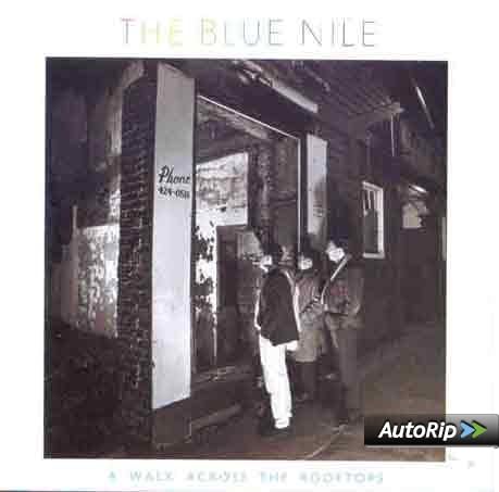 A Walk Across The Rooftops