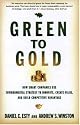 Green to Gold: How Smart Companies Use Environmental Strategy to Innovate, Create Value, and Build Competitive Advantage